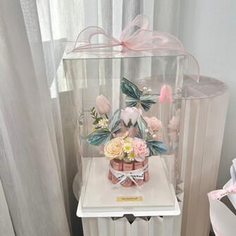 Cash cake box w cash butterfly